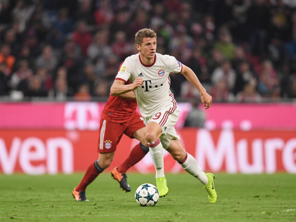 功能和特点 功能和特点