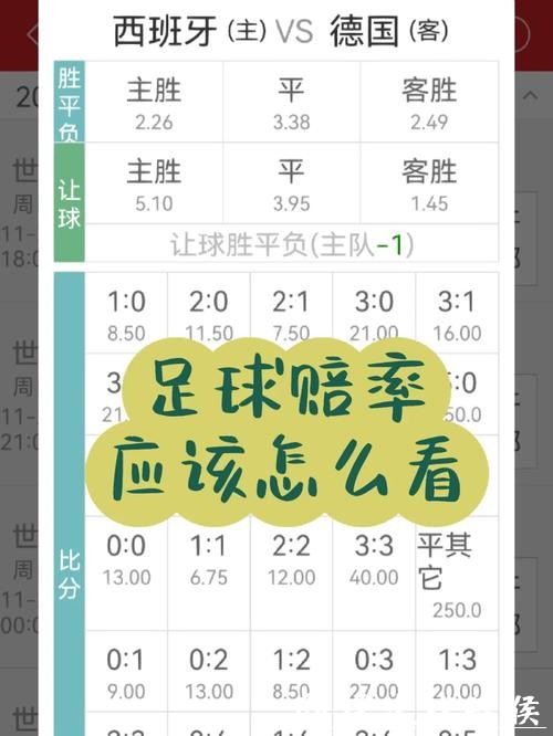 世界杯下注入口:实时赔率与下注服务指南 世界杯下注入口:实时赔率与下注服务指南